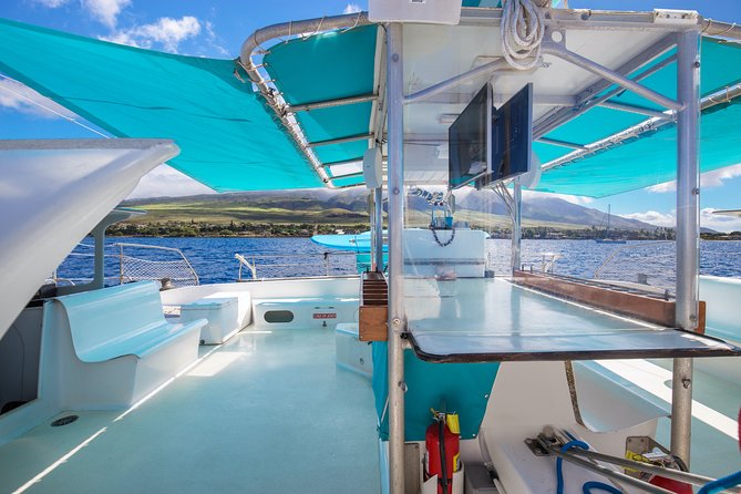 Whale Watching Cruise With Open Bar From Kaanapali Beach - Accessibility and Restrictions