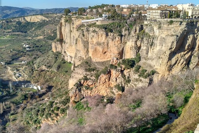 White Villages and Ronda Guided Day Tour From Seville - Traveler Reviews and Experiences