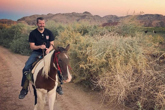 Wild West Sunset Horseback Ride With Dinner From Las Vegas - Customer Ratings and Feedback