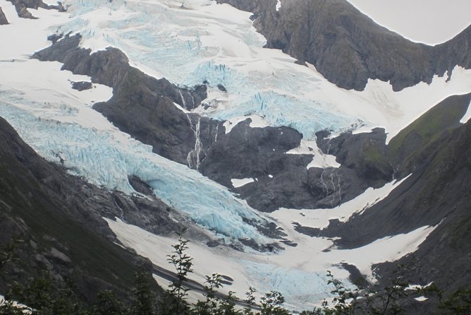 Wildlife and Glaciers With a Walk in the Rainforest - Appreciating the Scenic Beauty