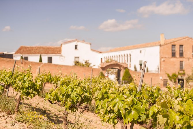 Wine, Tapas & Cava Private Tour From Barcelona - Accessibility and Accommodations
