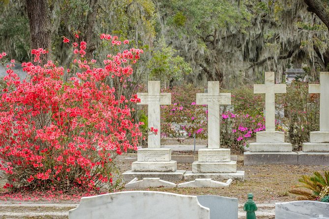 Wormsloe Historic Site & Bonaventure Cemetery Tour From Savannah - Savannah Byrd Cookie Company Visit