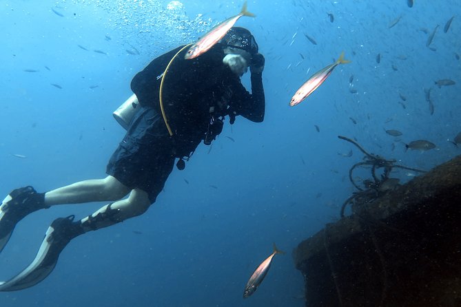 Wreck and Bridge Span Dive for Certified Divers - Safety Considerations