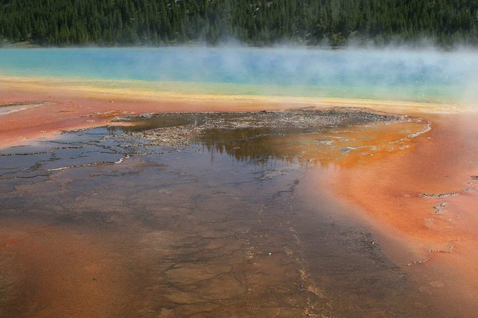 Yellowstone National Park - Full-Day Lower Loop Tour From Jackson - Customer Feedback