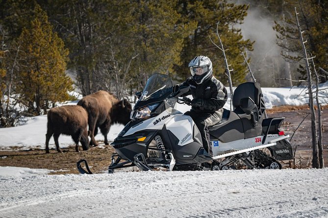 Yellowstone Old Faithful Full-Day Snowmobile Tour From Jackson Hole - Navigating Yellowstones Winter Terrain
