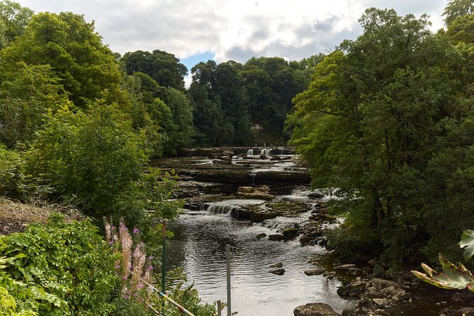 Yorkshire Dales Tour From York - Scenic Drives Through Stone-Walled Villages