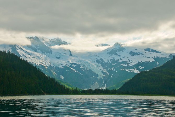 26 Glacier Cruise and Coach From Anchorage, AK - Traveler Feedback and Recommendations
