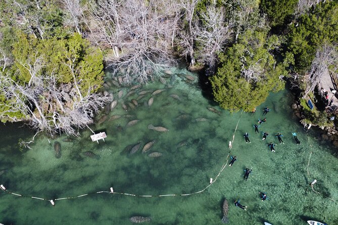 3 Hours Manatee Swim Tour in Florida - Booking and Flexibility