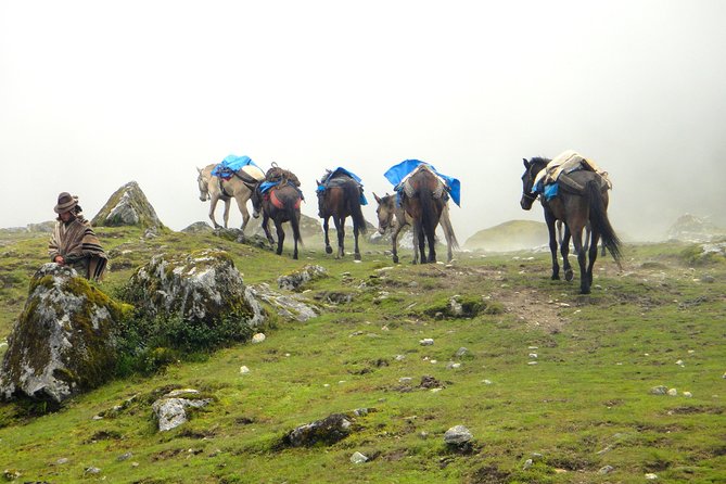 5-Day All-Inclusive Salkantay Trek To Machu Picchu - Day 2: Soraypampa to Chaullay
