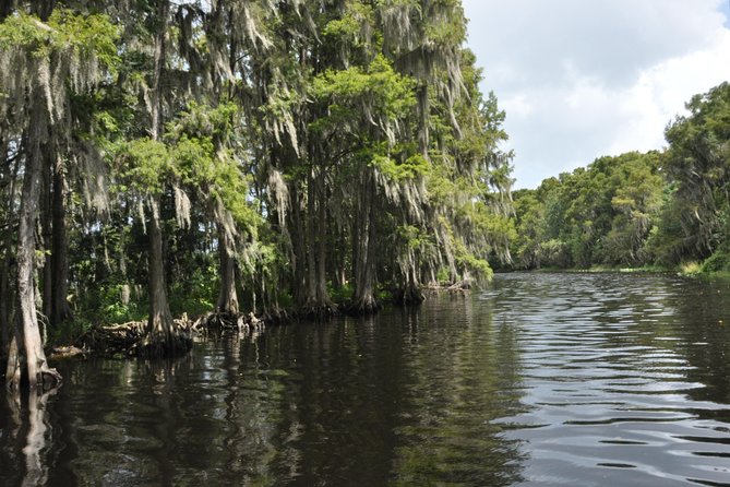 90 Minute Everglades Airboat Tour Near Orlando Florida - Educational Aspects of the Tour