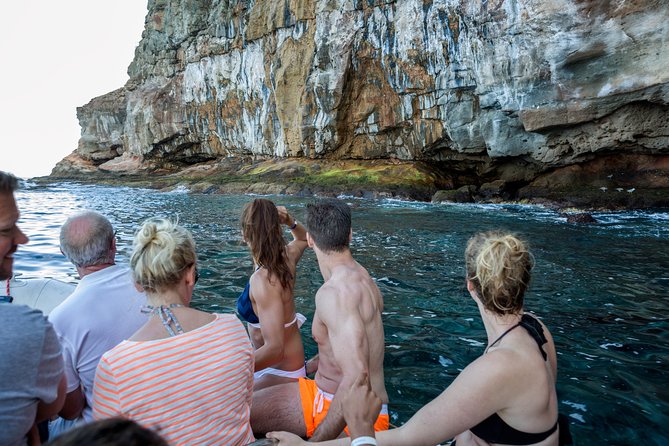 Afrikat Afternoon Cruise - Customer Feedback and Ratings