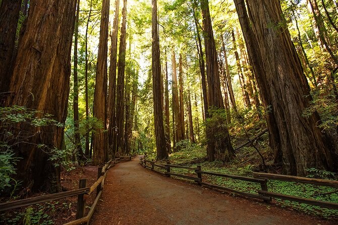 Alcatraz Muir Woods Express With Golden Gate Bridge Visit - Age Restrictions