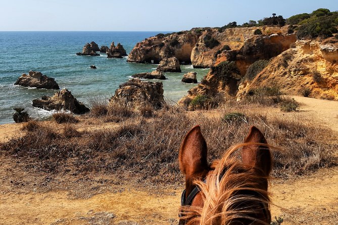 Algarve - Exclusive Horseriding in Portimao (No Experience Required) - Testimonials From Happy Riders