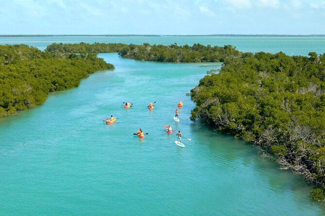 All Inclusive Kayak Eco-Tour: Mangrove and Sandbar Adventure - Maximum Travelers and Accessibility