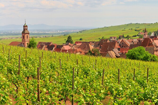 Alsace Wine Route Small Group Half-Day Tour With Tasting From Strasbourg - Sampling the Renowned Wines of the Region