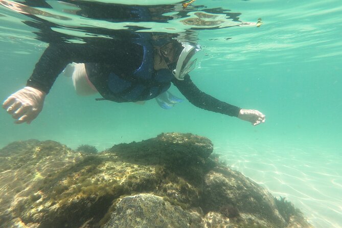 Aqua Aventura - Diving for Families - Customer Feedback on the Aqua Aventura Experience