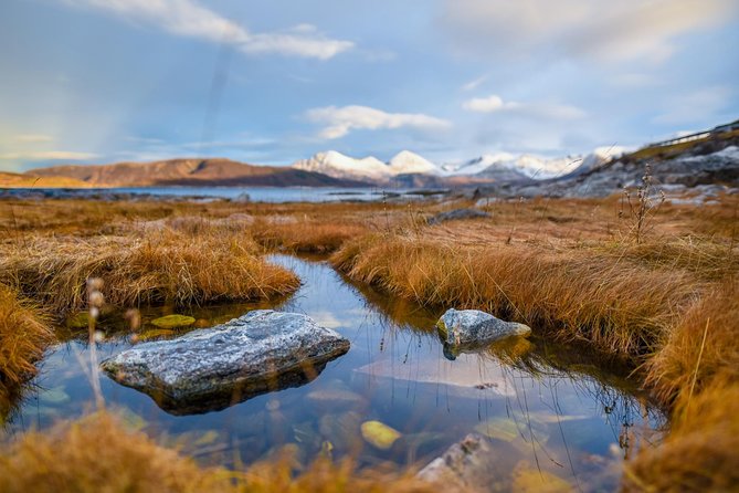 Arctic Nature Tour From Tromsø by Minibus - Culinary Delights of the Arctic Tour