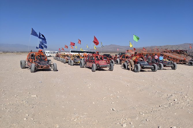 ATV Tour and Dune Buggy Chase Dakar Combo Adventure From Las Vegas - Customer Feedback and Ratings
