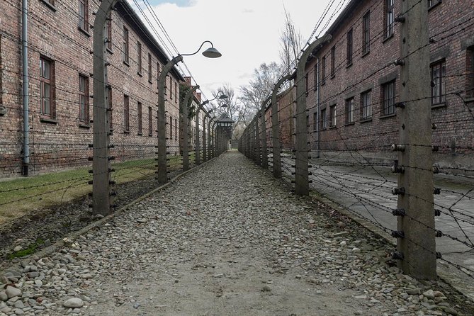 Auschwitz-Birkenau & Wieliczka in One Day Half Private Tour - Tour Highlights