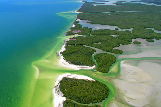 Avis Premium Dolphin Tour by Jet Ski - Exploring the Mangroves and Islands