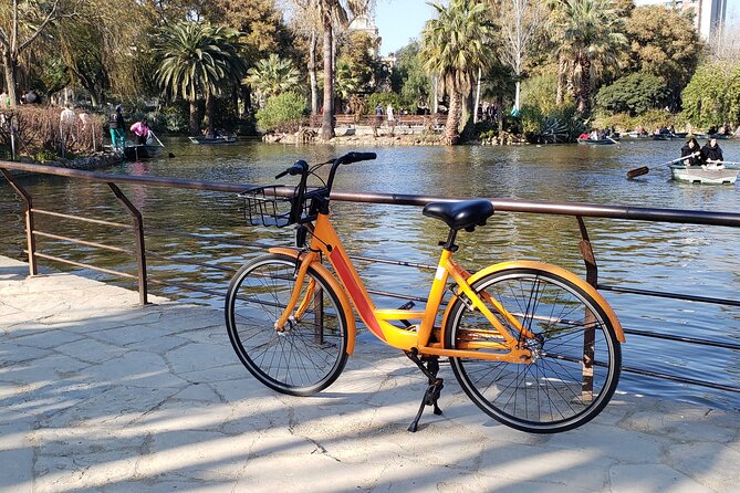 Barcelona 20 Best Sights With Local Guide on Bike/E-Bike - Safety Considerations and Participation Requirements