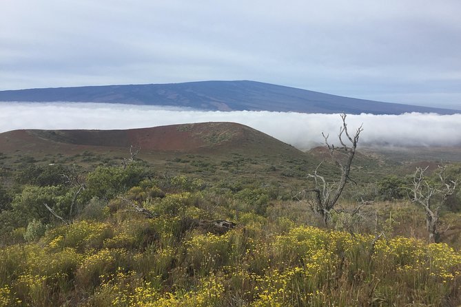 Big Island Volcano Adventure From Kona: Small Group - Kilauea Volcano Experiences
