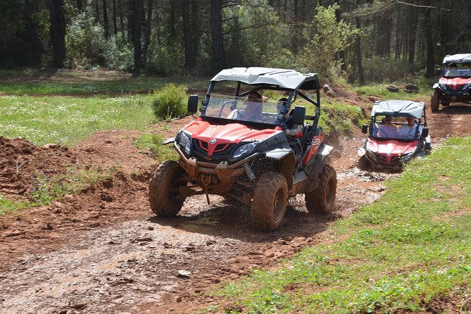 Buggy Safari - Positive Feedback