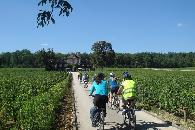 Burgundy Bike Tour With Wine Tasting From Beaune - Uncovering the Secrets of Wine Production