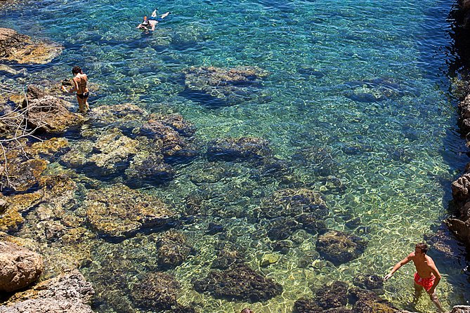 Cala Salada and Unspoiled North Beach Tour. Snorkelling and Aquarium - Additional Information