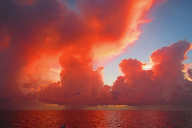 Castaway the Day: Miami Sunset Sail With Champagne - Sailing Serenity