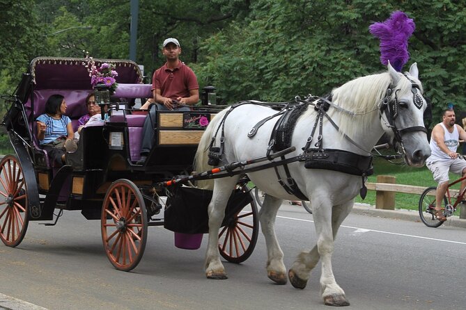 Central Park and NYC Private Horse Carriage Ride - Customer Reviews and Ratings Breakdown