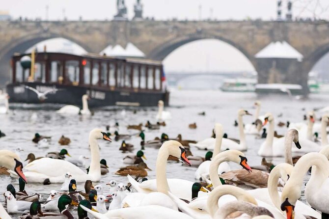 Charles Bridge: River Boat Cruise & Guided Tour ️with PragueWay - Visiting the Charles Bridge Museum
