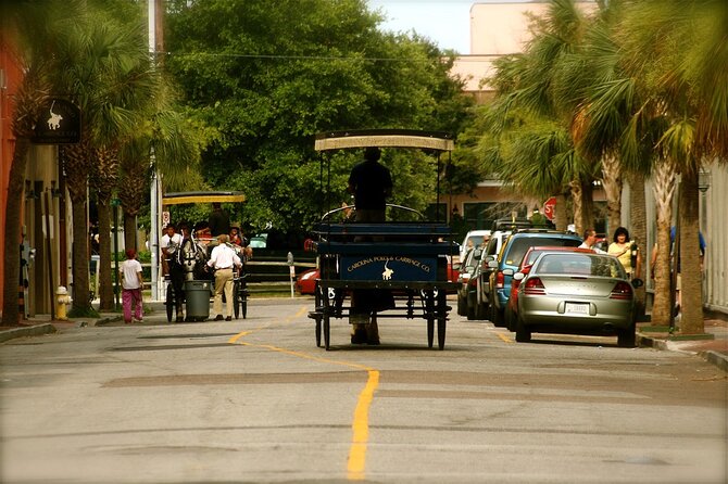 Charleston Horse & Carriage Historic Sightseeing Tour - Experiencing the Horse-Drawn Carriage Ride