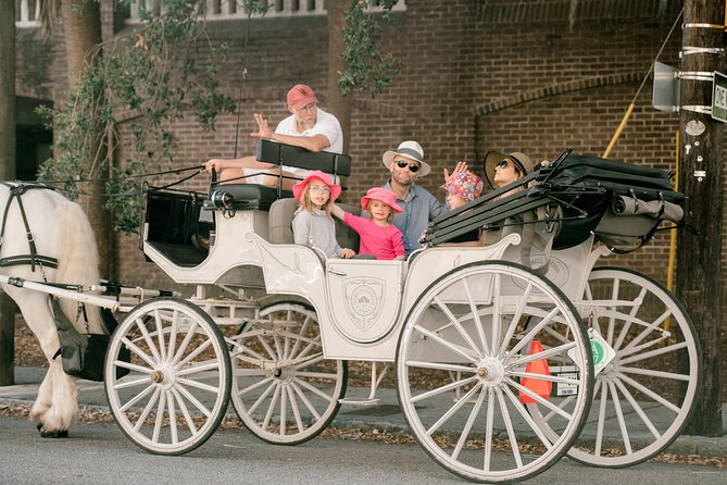 Charleston Private Daytime Horse-Drawn Carriage Tour - Customization Options