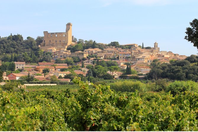 Châteauneuf Du Pape Wine Day Tasting Tour Including Lunch From Avignon - Physical Requirements and Accessibility