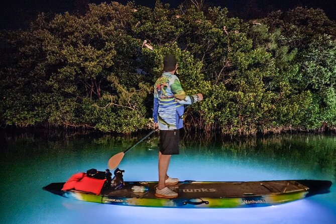 Clear Kayak LED Night Glass Bottom Tour - Sarasota - Nighttime Exploration of Sarasota