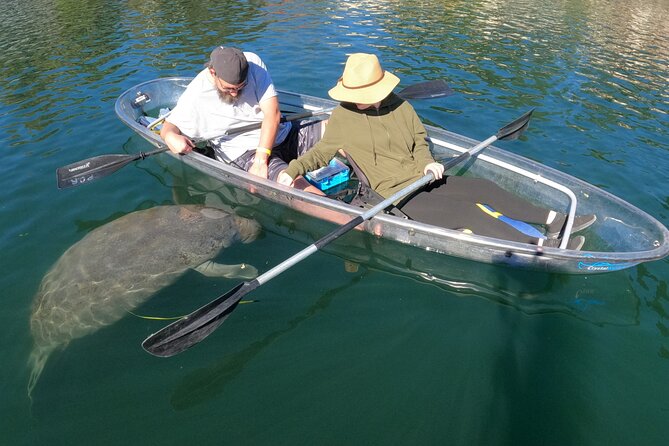Clear Kayak Manatee Ecotour of Crystal River - Customer Feedback and Ratings