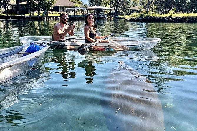 Clear Kayak Tour of Crystal River - Exploring Crystal River