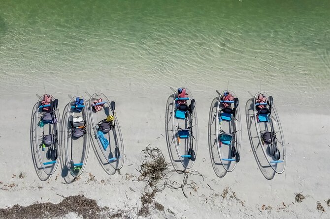 Clear Kayak Tour of Shell Key Preserve and Tampa Bay Area - Equipment and Safety Precautions