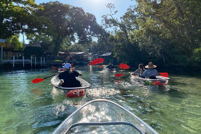 Clear Kayak Tours in Weeki Wachee - Sightings of Diverse Wildlife