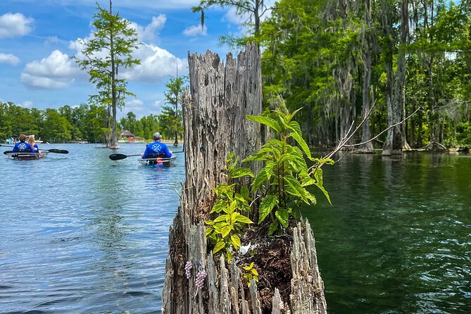 Clear Kayaking Eco Adventure Tour in Marianna - Exploring Underwater Caves