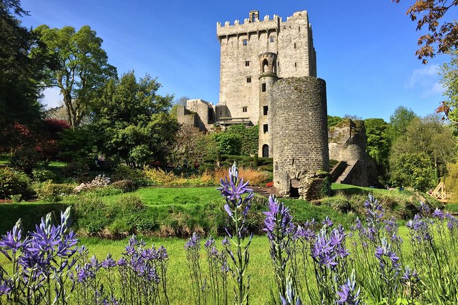 Cobh (Cork) to Blarney Castle & Kinsale - Shore Excursion - What to Expect on the Shore Excursion