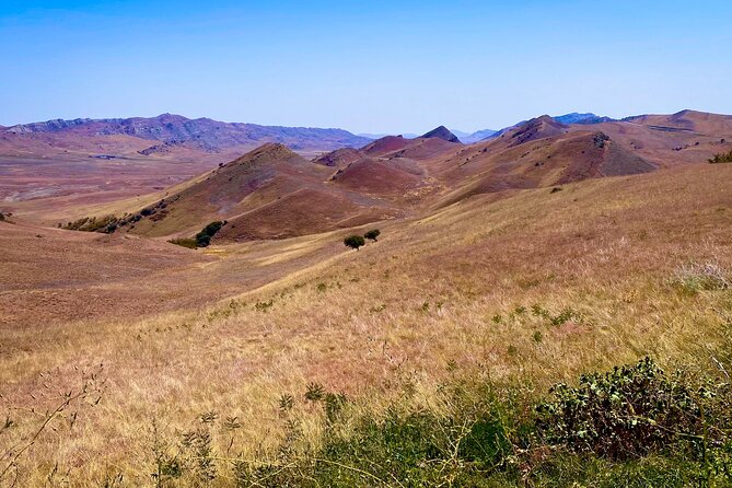 Day Trip to Rainbow Mountains and David Gareja - Cancellation Policy