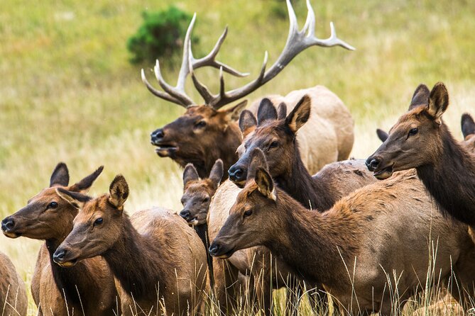 Discover Rocky Mountain National Park - Preparing for Your Adventure