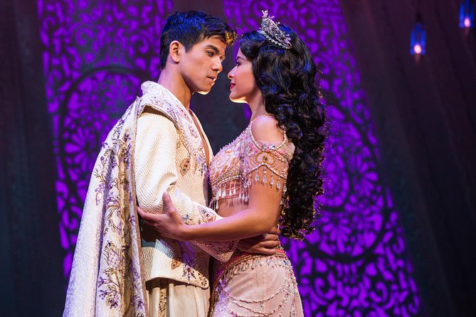 Disneys Aladdin on Broadway Ticket - Meeting Point and Logistics