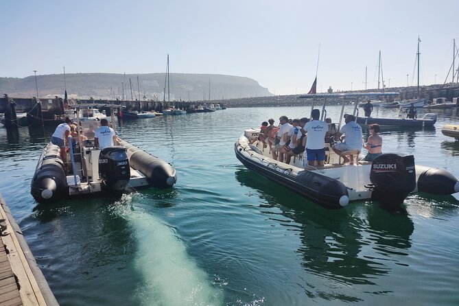 Dolphin Watching and Boat Tour in Sesimbra - Knowledgeable and Friendly Guides
