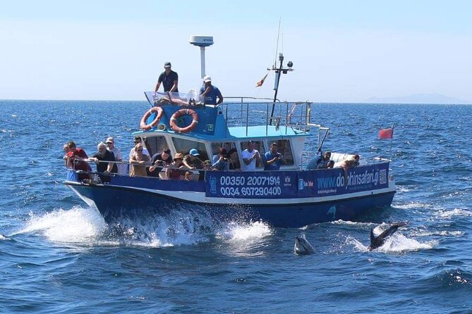 Dolphin Watching in Gibraltar Dolphin Safari V.I.P - Positive Customer Feedback and Experiences