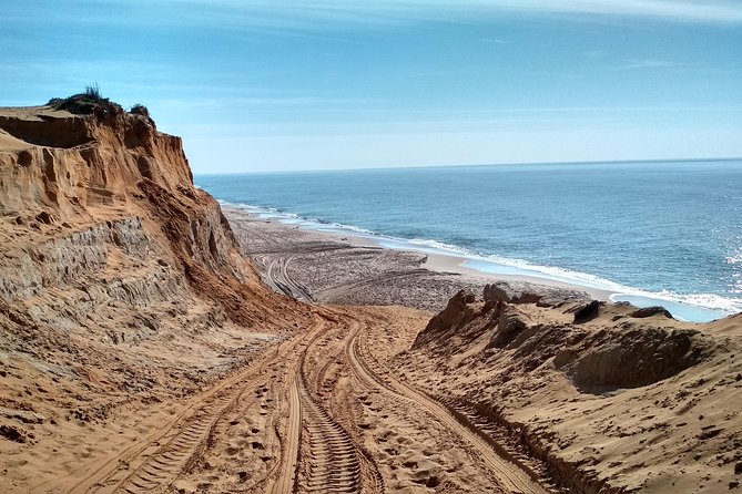 Donana National Park and El Rocío: Guided Tour From Seville - Tour Logistics and Inclusions