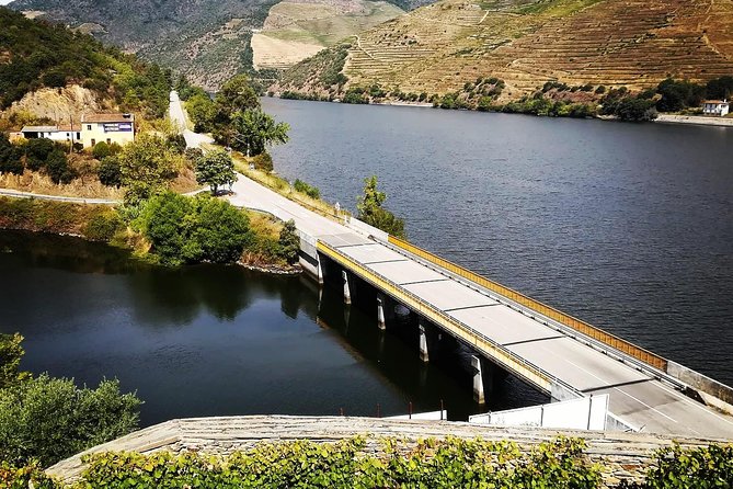 Douro Valley and Amarante Small Group Wine Tour From Porto - Exploring the Douro Valley