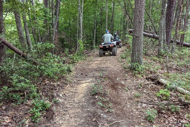 East Tennessee Off Road ATV Guided Experience - Customer Feedback and Ratings